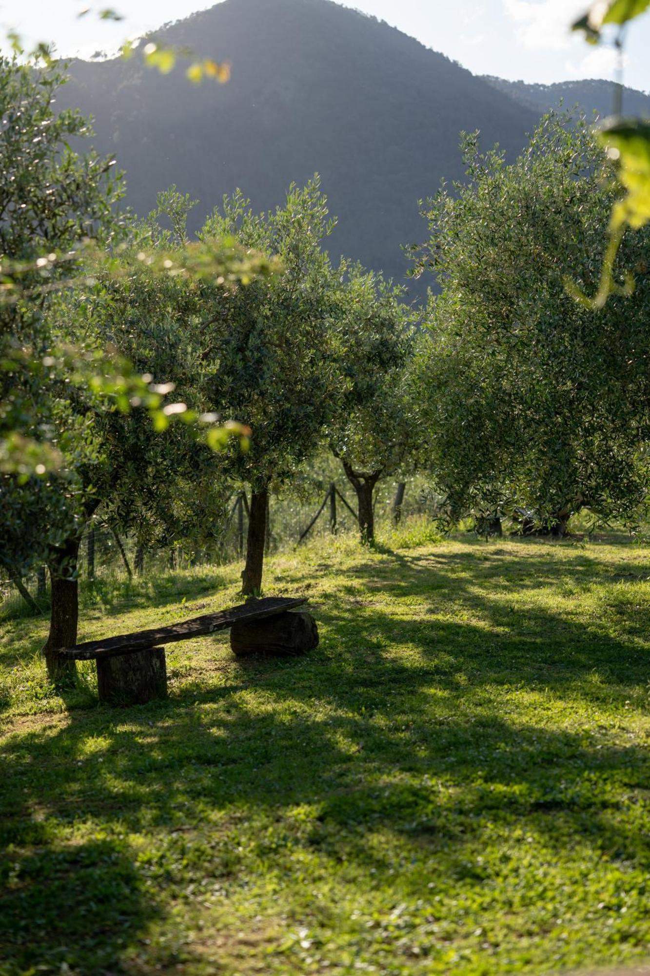 Agriturismo I Due Ghiri - Cinque Terre Calice al Cornoviglio ภายนอก รูปภาพ