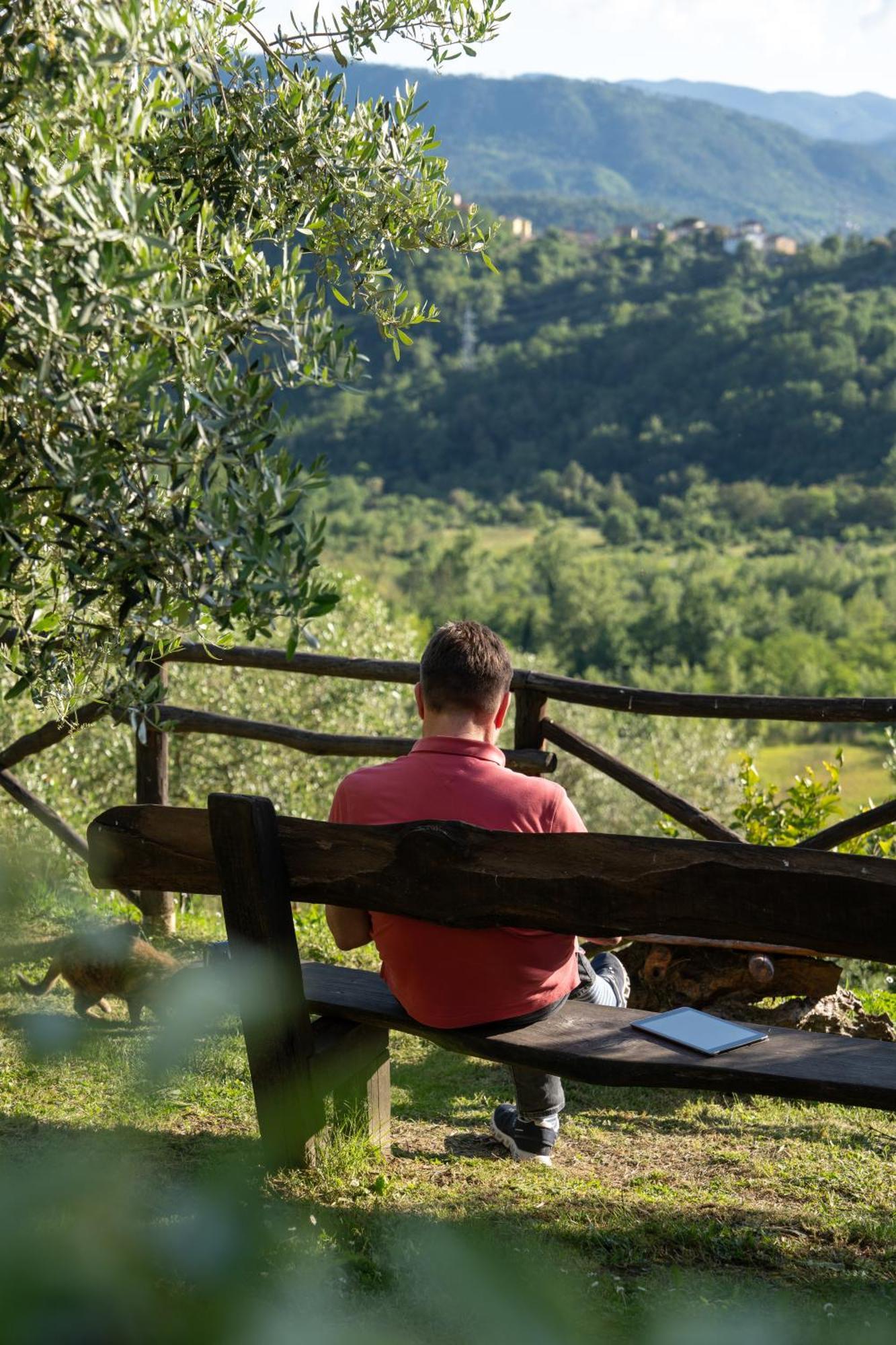 Agriturismo I Due Ghiri - Cinque Terre Calice al Cornoviglio ภายนอก รูปภาพ